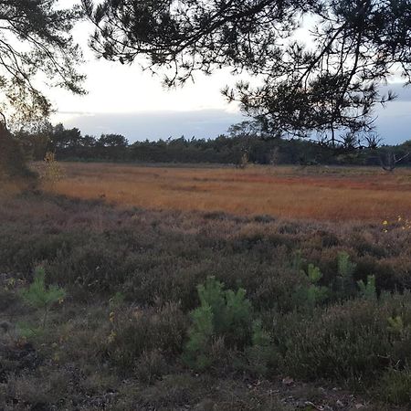 Dennenhuis Vaassen Eksteriør bilde